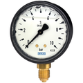 Pressure gauge type 113.13